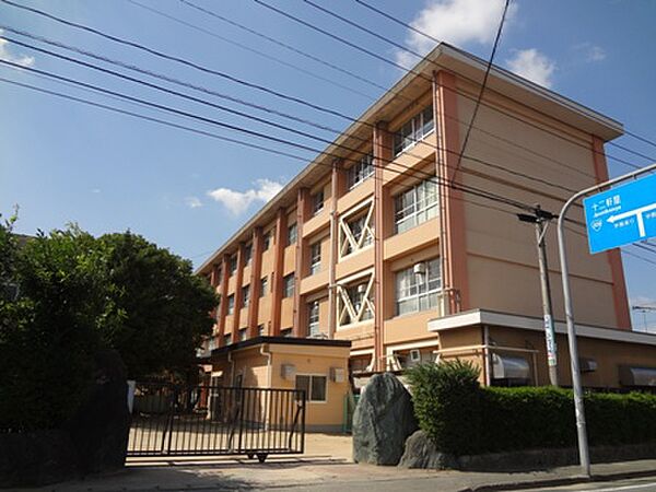 画像18:久留米市立南小学校（1109m）