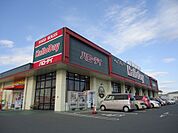 ハローデイ 国分店（257m）