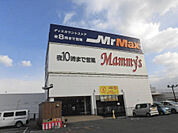 MrMAX久留米インター店（381m）