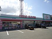 ドラッグイレブン久留米野中店（288m）