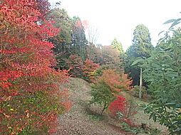 日立市十王町山部