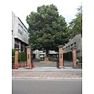 加納小学校