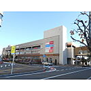 オーキッドパーク