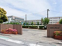 川口市領家3丁目　土地