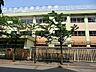 周辺：江戸川区立春江小学校 徒歩4分。 280m