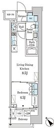 レガシス中目黒 1LDKの間取図画像