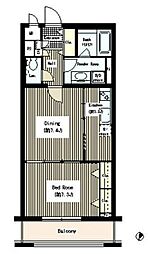 ルミエール中町 1階1DKの間取り