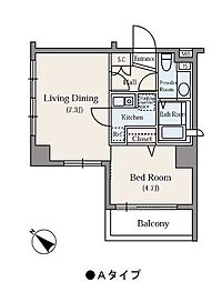 東池袋デュープレックスリズ 2階1DKの間取り