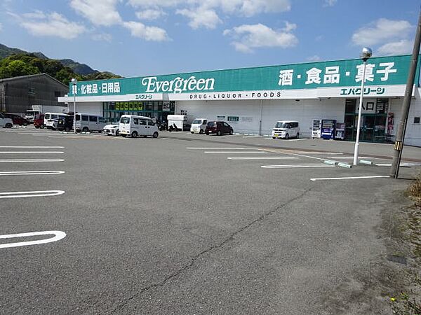 画像24:【スーパー】エバグリーン 海南店様まで407ｍ