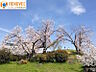 周辺：近隣公園『城の山公園』まで徒歩約4分です