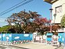 周辺：【幼稚園】浜脇幼稚園まで1204ｍ