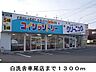 周辺：白洗舎車尾店まで1300m