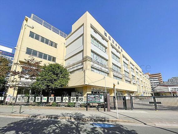 江東区立枝川小...