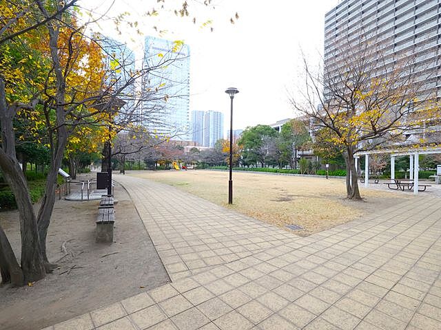 周辺 晴海アイランドトリトンスクエアビュータワー 41階/-