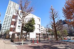 新宿区立花園小学校 350m