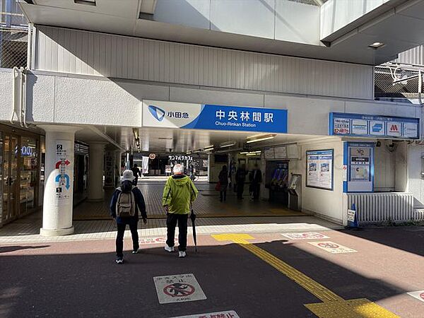周辺を拡大表示