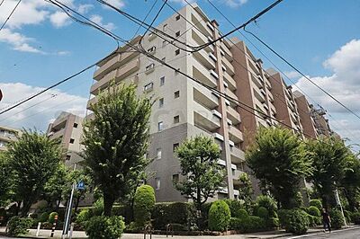 外観：総戸数240戸
