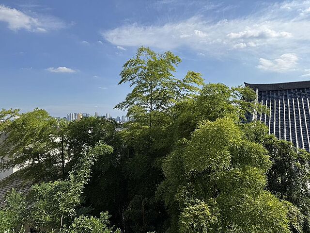 その他 ベルテ中野江古田Ａ 3階/-