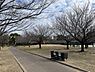 周辺：【公園】高洲中央公園まで293ｍ