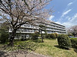 物件画像 京成サンコーポ浦安　15号棟