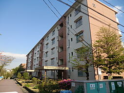 物件画像 東高森団地11号棟