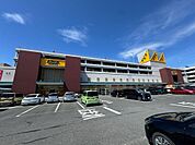 アピタ