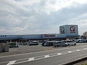 コメリ愛知川店 まで約 1210 m