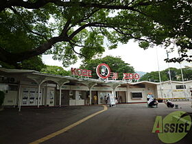 ロマネスク王子公園  ｜ 兵庫県神戸市灘区福住通5丁目（賃貸マンション1R・2階・21.29㎡） その21