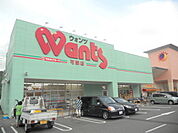 ドラックストア「ウォンツ可部店まで491ｍ」