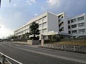 小学校「広島市立落合東小学校まで1036ｍ」