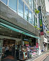 ＬａＳａｎｔｅ池田山(ラサンテ池田山) 707 ｜ 東京都品川区東五反田５丁目22-11（賃貸マンション1LDK・7階・58.64㎡） その23