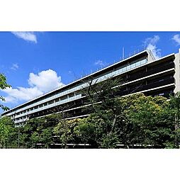 パークアクシス品川南大井パークフロント 637