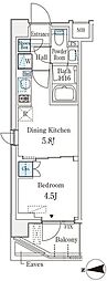 ベルファース品川大井町 1DKの間取図画像