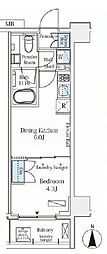 グラシア大森 1DKの間取図画像