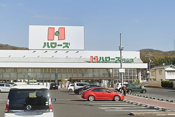 画像24:【スーパー】ハローズ 円山店まで447ｍ