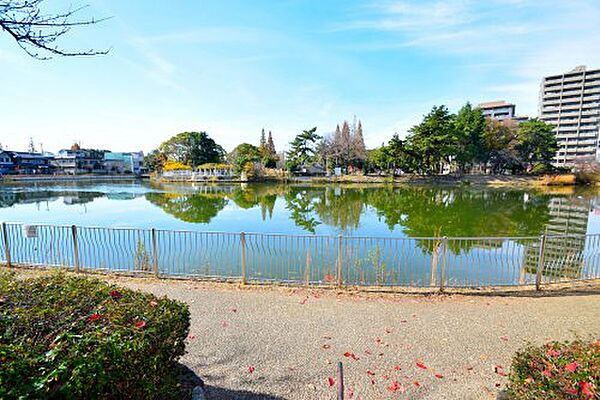 グレイスパイン ｜大阪府大阪市阿倍野区播磨町1丁目(賃貸マンション2DK・4階・44.21㎡)の写真 その20