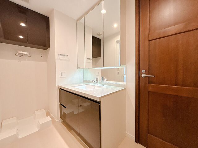 洗面 ロイヤルシーズン新宿柏木 1階/-