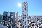 頬をなでる、優しい風を感じることが出来ます。