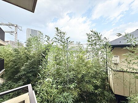 頬をなでる、優しい風を感じることが出来ます。