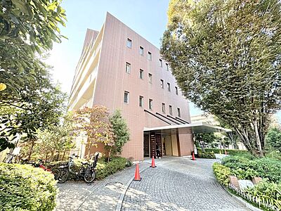 外観:資料には掲載していない情報が、現地にはたくさんあります。是非一度、現地をご確認ください。 外観:資料には掲載していない情報が、現地にはたくさんあります。是非一度、現地をご確認ください。