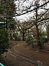 代々木大山公園