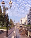 芝浦西運河沿緑地（280m）