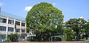品川区立中延小学校（417m）