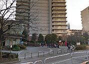 谷山公園（326m）
