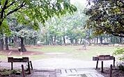 都立林試の森公園（1100m）