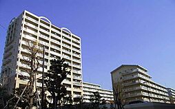 UR新川・島屋敷通り