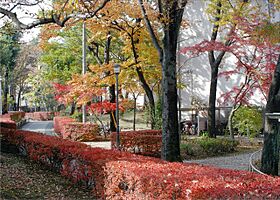 UR清瀬旭が丘  ｜ 東京都清瀬市旭が丘5丁目（賃貸マンション3DK・4階・50.58㎡） その17