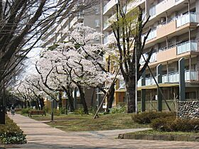 URひばりが丘パークヒルズ  ｜ 東京都東久留米市ひばりが丘団地（賃貸マンション1LDK・5階・50.13㎡） その5