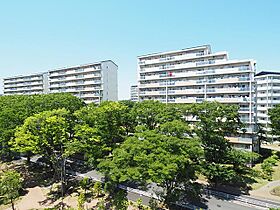 URひばりが丘パークヒルズ  ｜ 東京都西東京市ひばりが丘3丁目（賃貸マンション2DK・3階・55.38㎡） その6