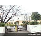中学校「市立稲城第五中学校まで490ｍ」
